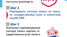 Что такое ПФР РФ в FiNN FLARE