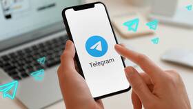 Как использовать ТАМ (Телеграм-Аналитика Мониторинг)