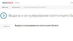Как оформить охотничий билет через Госуслуги в FiNN FLARE
