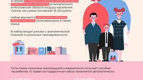 Как оформить выплаты для матери-одиночки через Госуслуги в FiNN FLARE