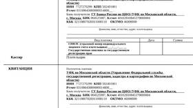Как оплатить госпошлину в мировой суд в FiNN FLARE