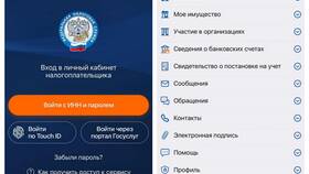 Как получить сведения о доходах через Госуслуги в FiNN FLARE