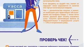 Как правильно сделать запрос в ФНС в FiNN FLARE