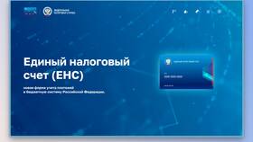 Как учитывают доходы на Едином налоговом счете в FiNN FLARE