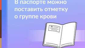 Как узнать ИНН по паспорту в FiNN FLARE