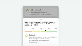 Как узнать, какие займы у меня есть в FiNN FLARE