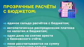 Как узнать сальдо по единому налоговому счету в FiNN FLARE