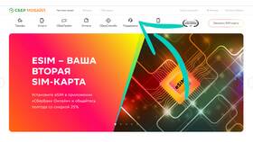 Как вывести обещанный платеж на банковскую карту в FiNN FLARE