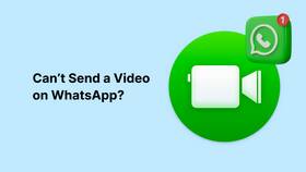 Причины, почему не скачивается документ в WhatsApp Web в FiNN FLARE