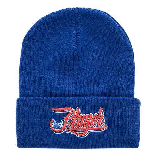 Шапка мужская Truespin TS-SPPB16 синий ONE SIZE в FiNN FLARE