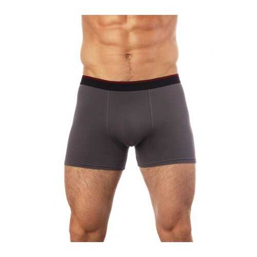Трусы мужские UOMO FIERO 029FH серые XXL в FiNN FLARE